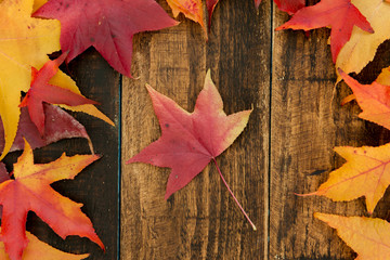Naklejka na ściany i meble Colors from the autumn