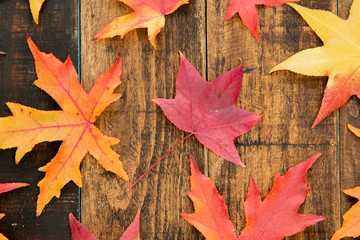 Naklejka na ściany i meble Colors from the autumn