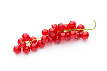 Red Currant close up isolated on white.