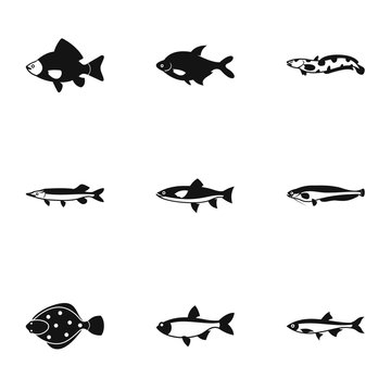 River fish icons set. Simple illustration of 9 river fish vector icons for web