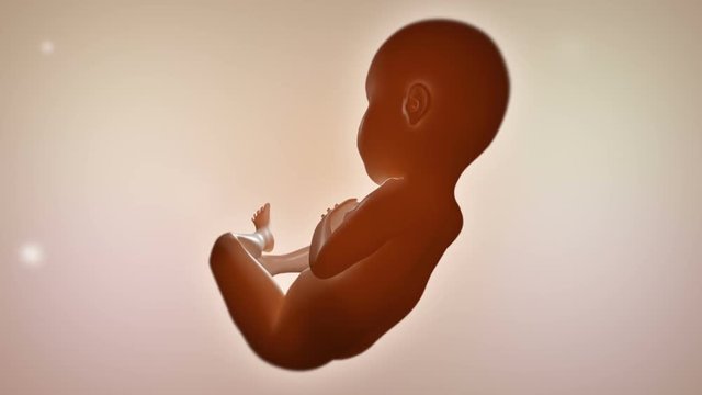 Rotating fetus waking up suddenly