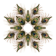 Obraz premium Feather pattern