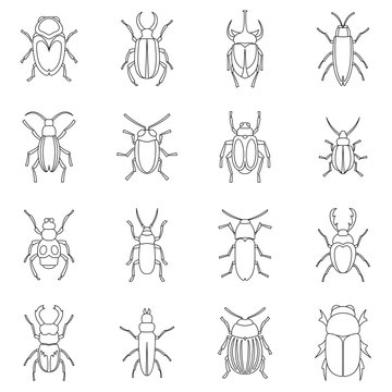 Bugs icons set. Outline illustration of 16 bugs vector icons for web