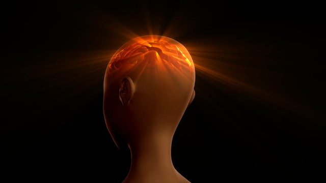 Cg rotating human brain scan animation
