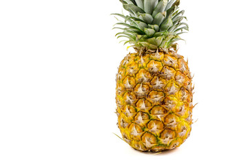 close up ripe pineapple on a white background / pineapple fruit on white background.