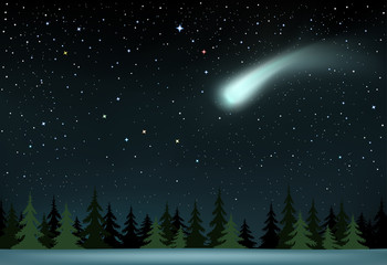 comet falls over the night wood