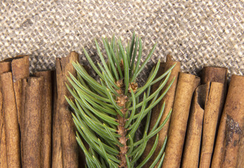 a branch of spruce and cinnamon sticks on canvas of flax