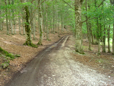 Strade di montagna