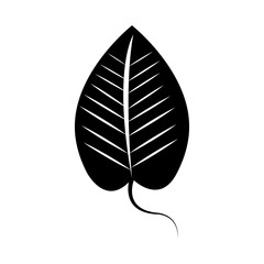leaf plant isolated icon vector illustration design