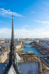 Fototapeta premium Panorama of the Paris from the top of the tower of Notre Dame, France