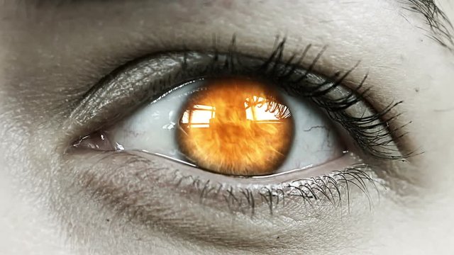 Flames In Close Up Female Eye