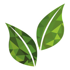 leaf plant isolated icon vector illustration design