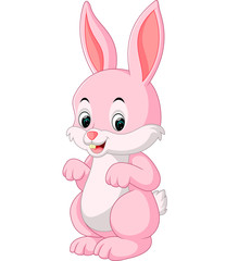cute rabbit cartoon

