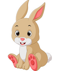 cute rabbit cartoon

