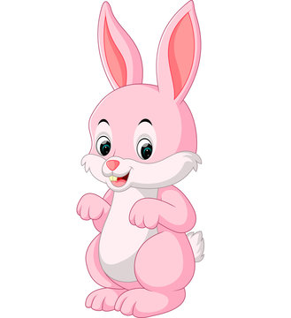 cute rabbit cartoon

