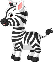 Obraz na płótnie Canvas cute zebra cartoon