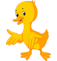 duck cartoon


