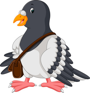 Cartoon funny pigeon bird

