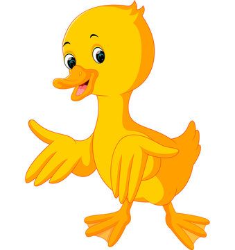 duck cartoon

