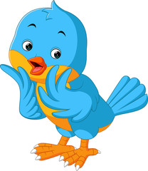 Cute bird cartoon

