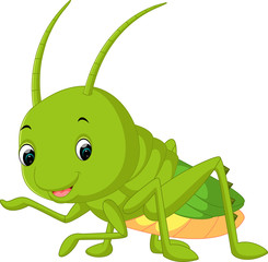 grasshopper cartoon

