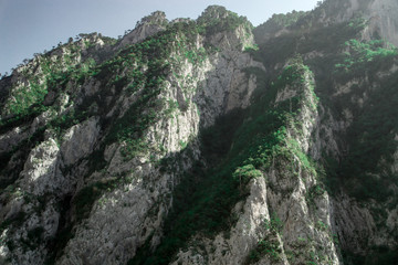 Obraz premium Beautiful nature landscape, rocks mountains with green forest
