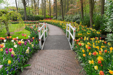 Stone walk way winding in spring formal flower garden Keukenhof, Holland