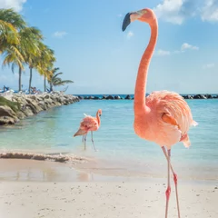 Tuinposter Flamingo Drie flamingo& 39 s op het strand