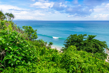 Tropical beach and ocean