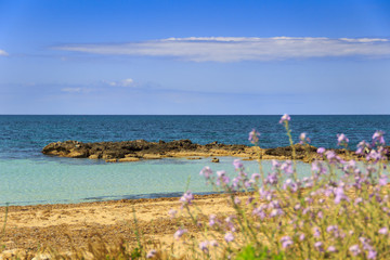 Fototapeta na wymiar Salento coast: typical beach with sandy coves and cliffs. ITALY, Apulia.From Torre Pali to Pescoluse the shore is made of a so fine white sand and vashed by a so clear sea that it is called 'Maldive