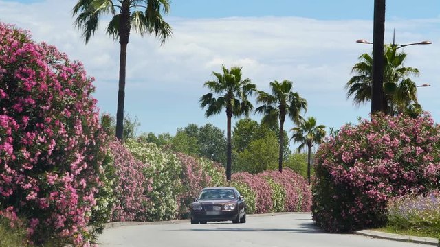 Luxury car driving in beautiful road with bushes and palms, arriving to villa
