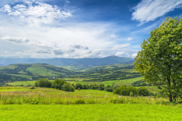 Fototapeta na wymiar Summer rural landscape. Summertime in countryside.