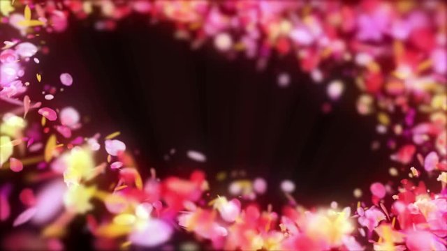 花 カラフル 回転 舞う キラキラ 枠 ループ