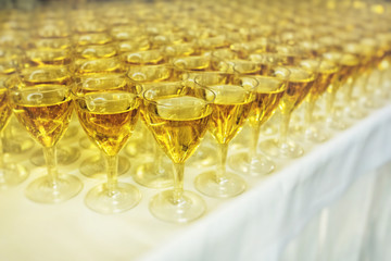 catering services. glasses with wine in row background at party