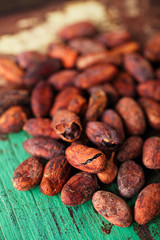  roasted cocoa chocolate beans on wood background