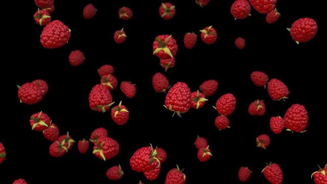 Red raspberries falling in slow motion. Alpha channel.