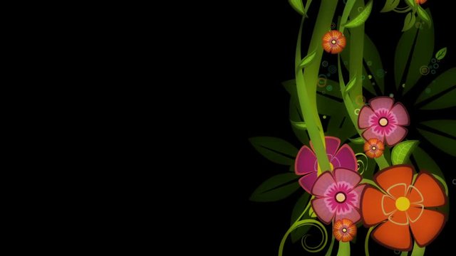 Colorful floral ornament background animation
