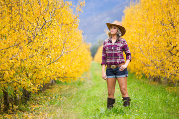 Beautiful elegance back woman cowgirl, riding a horse wearing bl