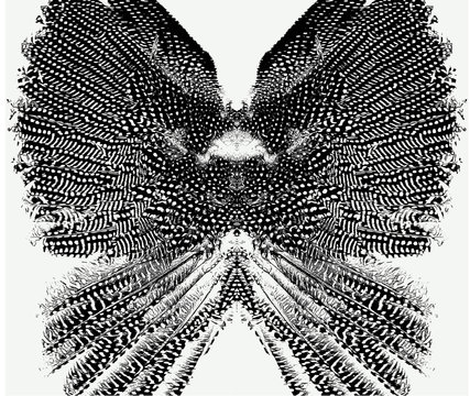 Fototapeta Wings pattern seamless