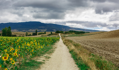 Picturesque landscape of Spain