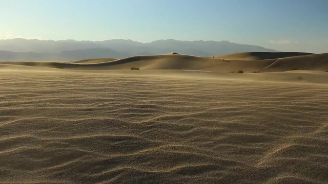 wind blowing on mesquite flat sand dunes