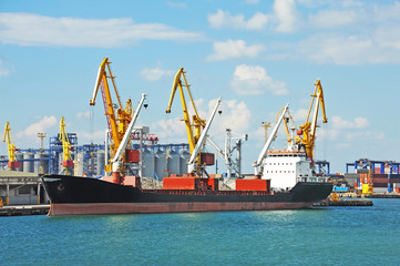 Bulk cargo ship under port crane