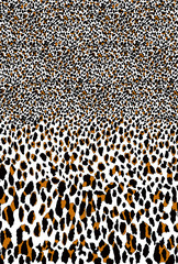 Leopard print