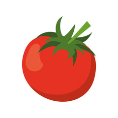 red tomato juicy vegetable icon vector illustration eps 10