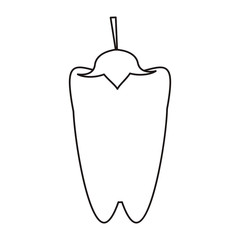 outline pepper vegetable food icon vector illustration eps 10