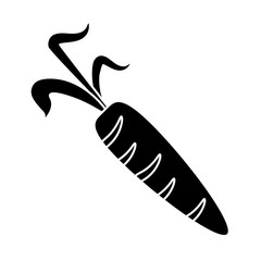 pictogram fresh carrot vegetable healthy icon vector illustration eps 10