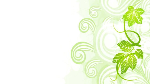 Curly green floral ornament background animation