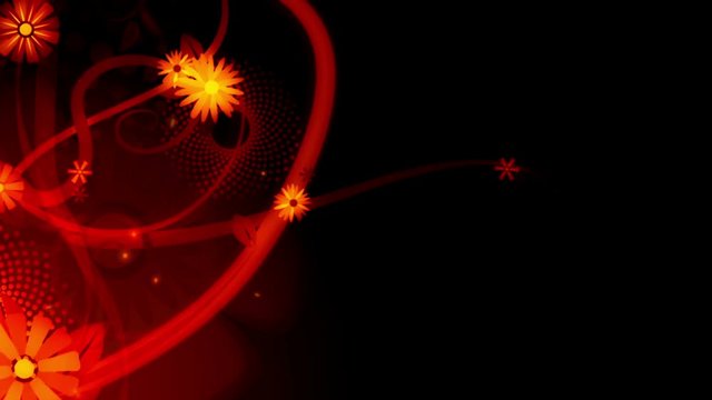Red colored floral background animation