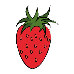 strawberry healthy fruit nature drawing vector illustration eps 10