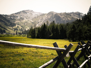 Lake Tahoe Landscape